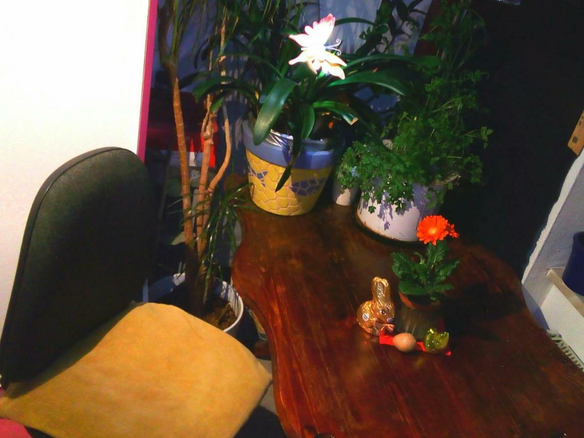Citycentre Room For 1 Female Persons - Alternative Plus 1 Child Frankfurt am Main Exterior photo
